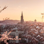 Sonnenuntergang während Kirschblüte in Bern mit Berner Münste