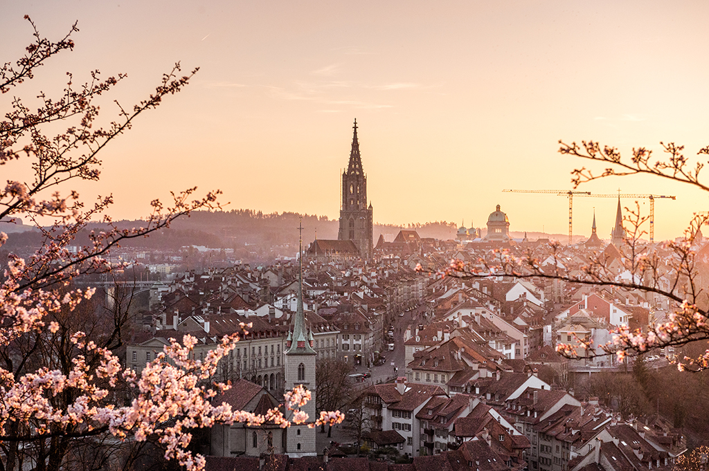 Sonnenuntergang während Kirschblüte in Bern mit Berner Münste