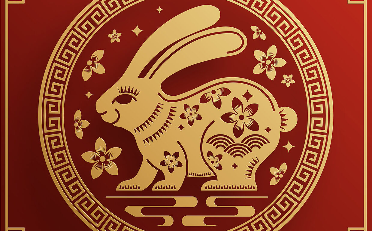 Happy chinese new year 2023 year of the rabbit zodiac with on color Background. (Translation : Happy new year)